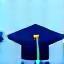 Graduation cap icon represented by image