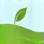 Leaf icon represented by image